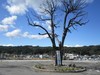 山田町(津波の後の火災で町の半分が消失したそうです。)